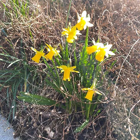 Bed & Breakfast L'aigrin 3*